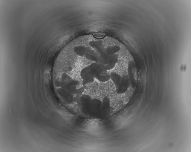 X0000090710127200708101514