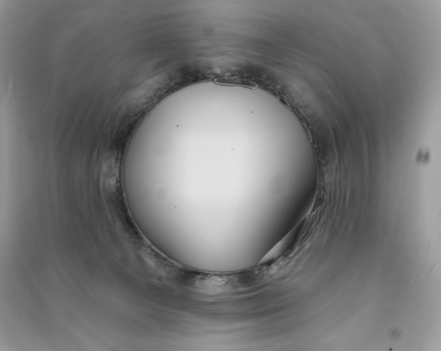 X0000090710129200708101514