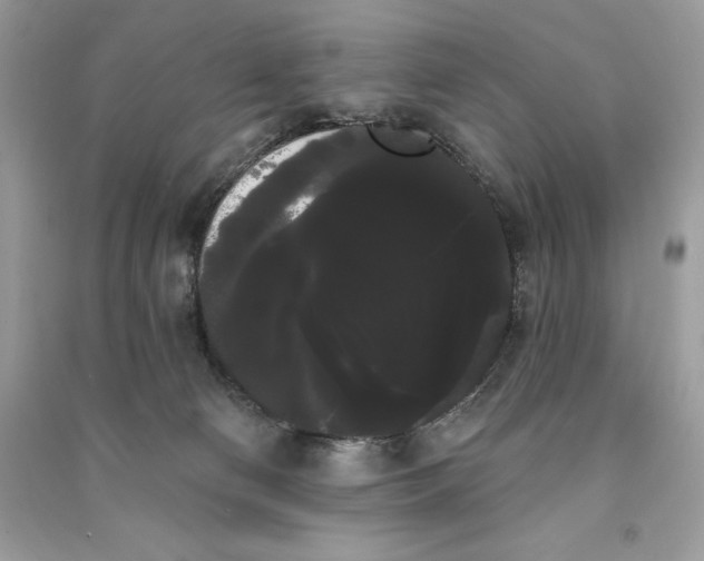 X0000090710130200708101514