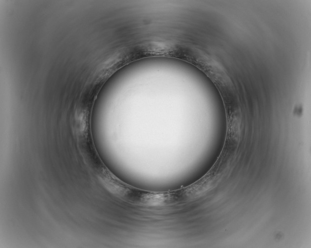 X0000090710131200708101514