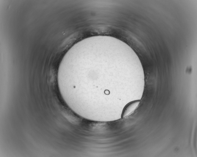 X0000090710132200708101514