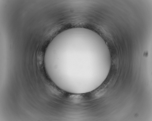 X0000090710133200708101513