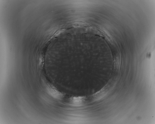 X0000090710134200708101513