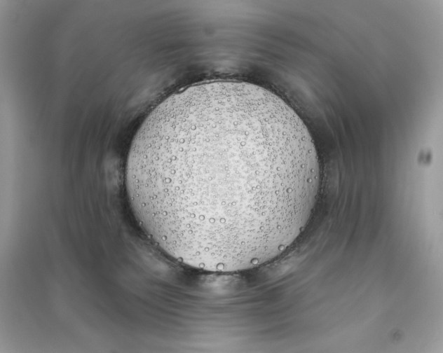 X0000090710135200708101513