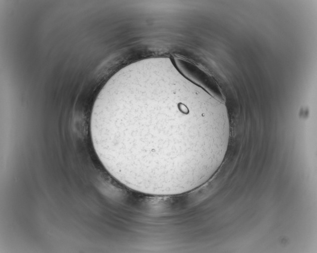 X0000090710136200708101513