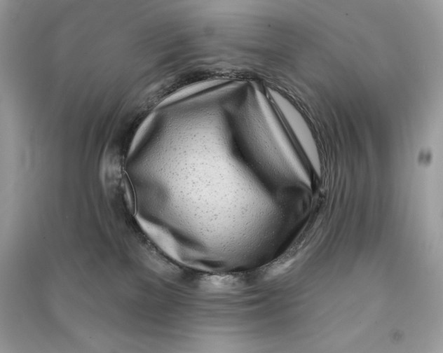 X0000090710137200708101513