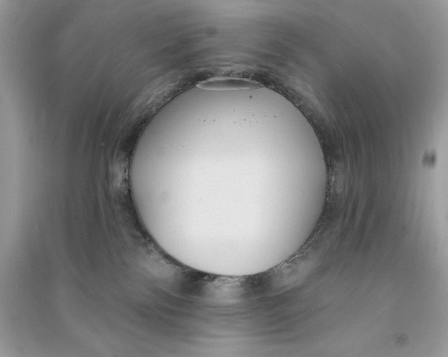 X0000090710138200708101513