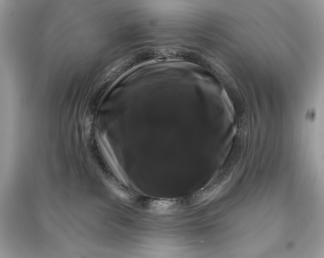 X0000090710139200708101513