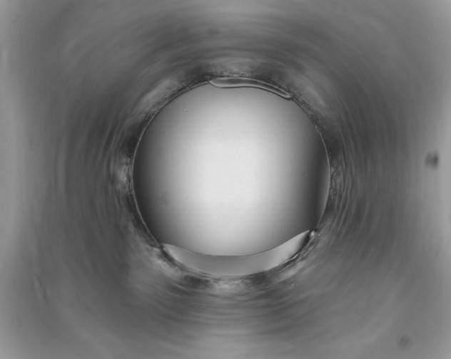 X0000090710141200708101513