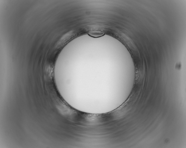 X0000090710142200708101513