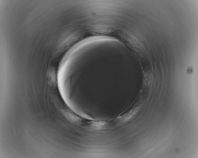 X0000090710143200708101513