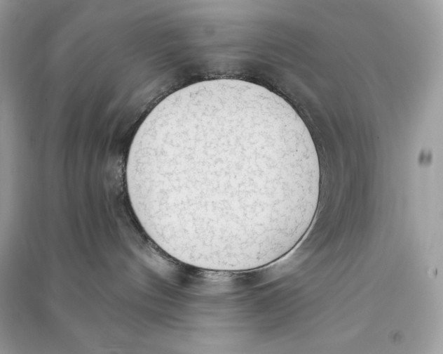 X0000090710144200708101513