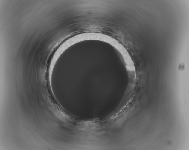 X0000090710146200708101513