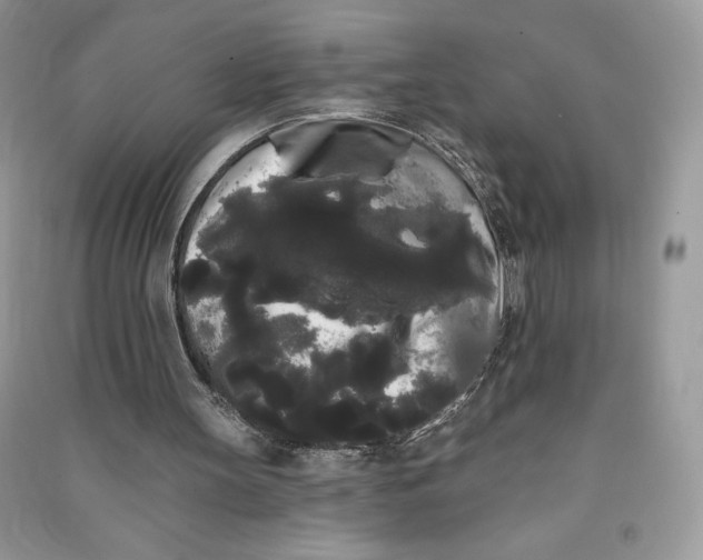 X0000090710147200708101513