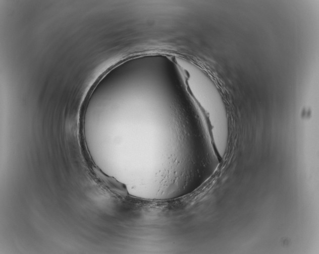 X0000090710148200708101513