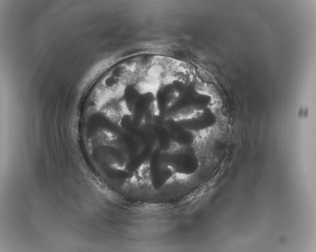 X0000090710149200708101513