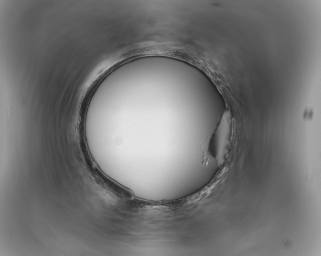 X0000090710150200708101513