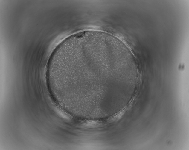 X0000090710151200708101513