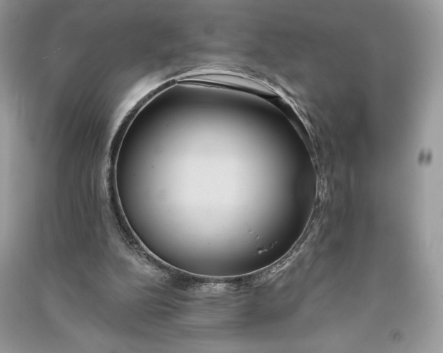 X0000090710152200708101513