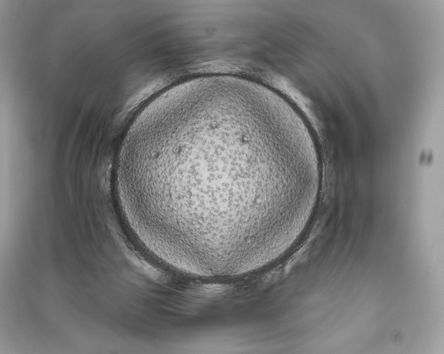 X0000090710153200708101513