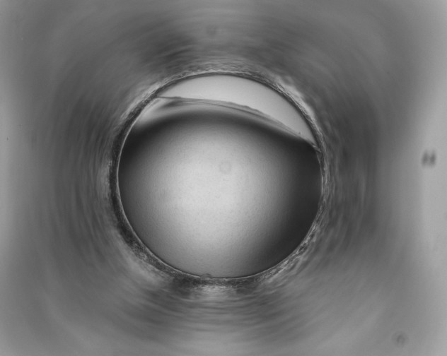 X0000090710154200708101513