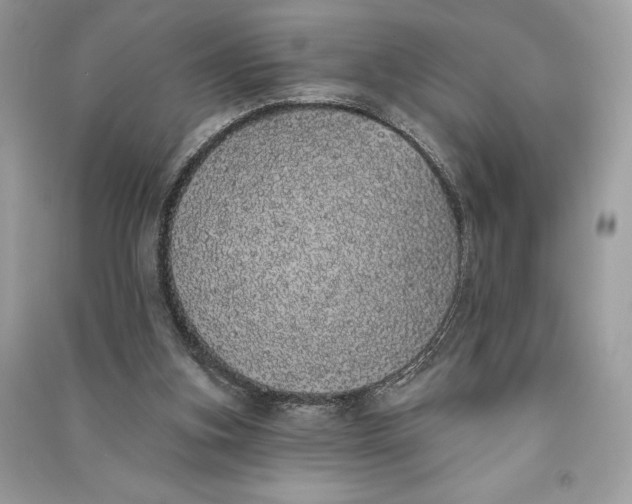 X0000090710155200708101513