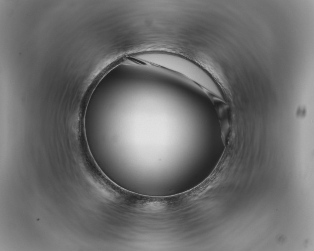 X0000090710156200708101513