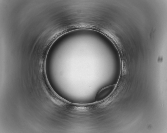 X0000090710157200708101513