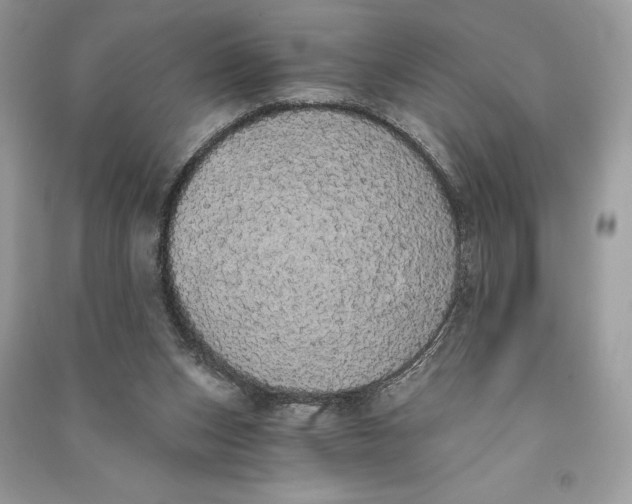 X0000090710159200708101513