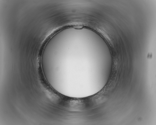 X0000090710160200708101513