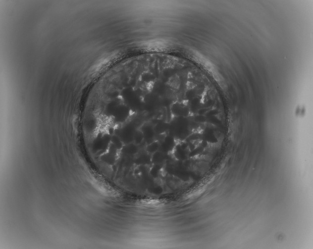 X0000090710161200708101513