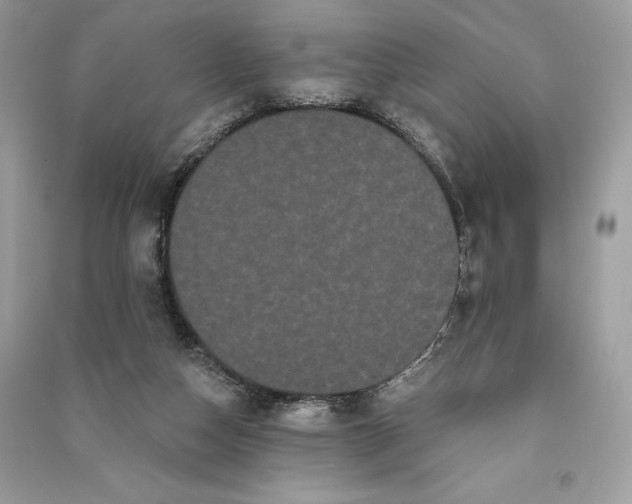 X0000090710162200708101513