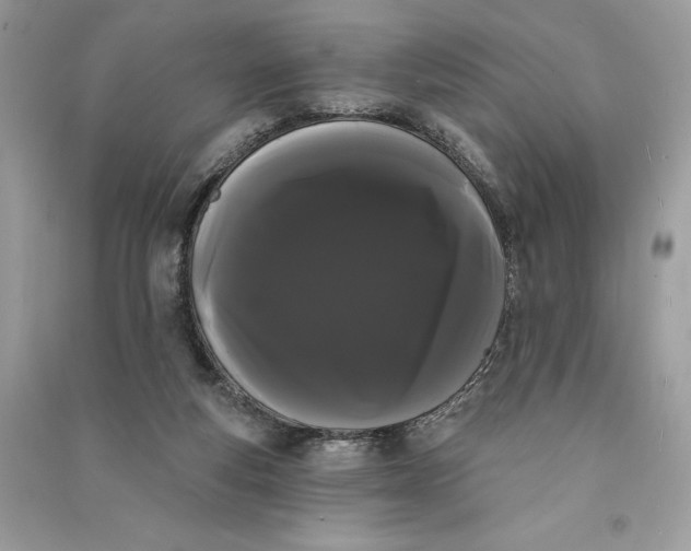 X0000090710163200708101513