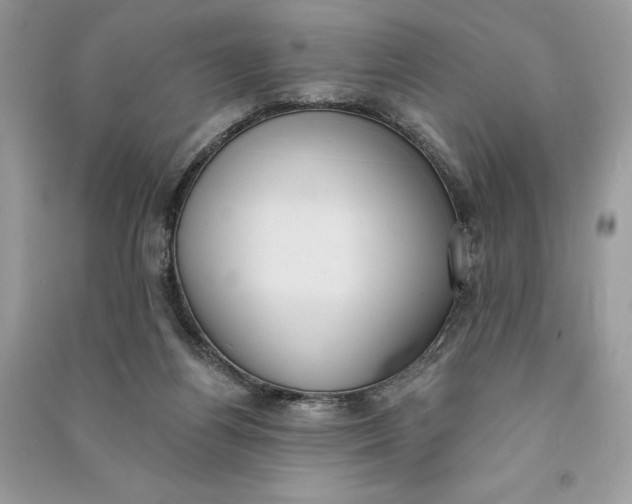 X0000090710164200708101513