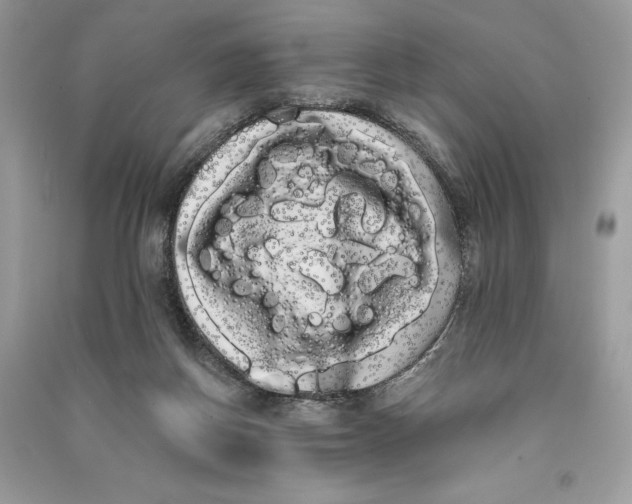 X0000090710166200708101513