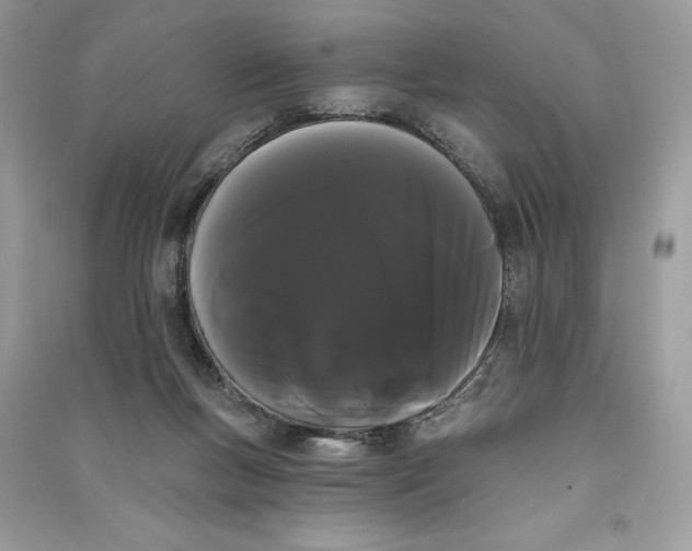 X0000090710167200708101513