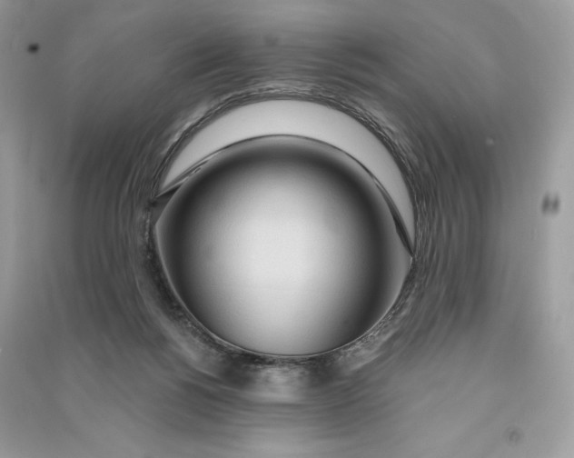 X0000090710168200708101513