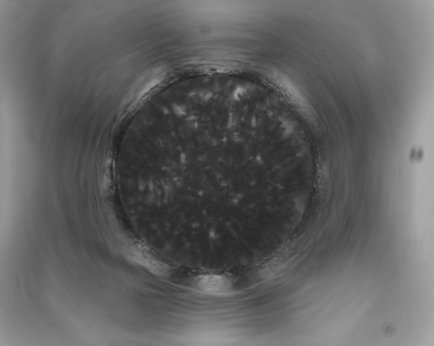 X0000090710169200708101513