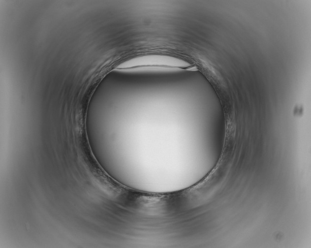 X0000090710170200708101513