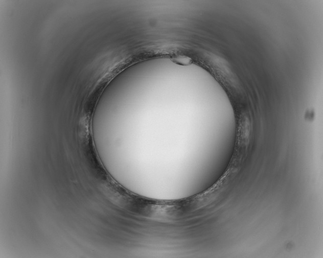 X0000090710172200708101513