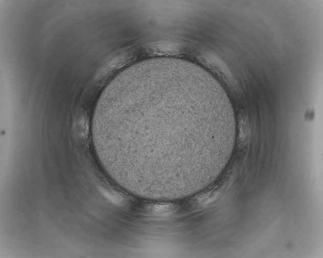 X0000090710173200708101513