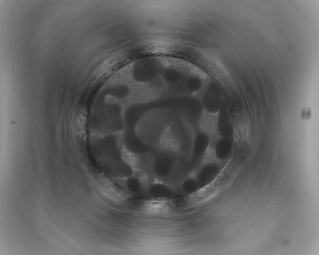 X0000090710175200708101513