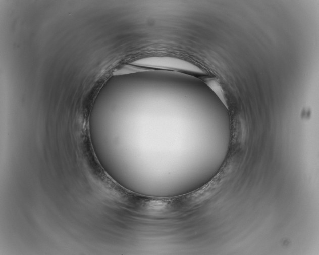 X0000090710176200708101513