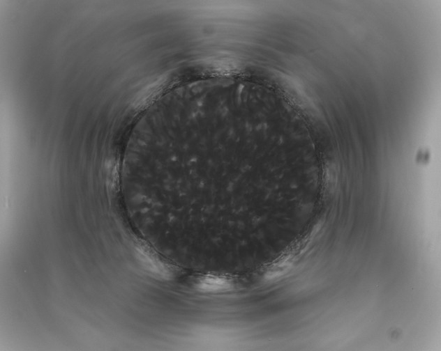 X0000090710177200708101513