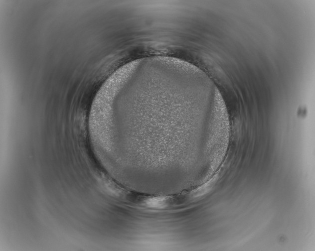 X0000090710178200708101513