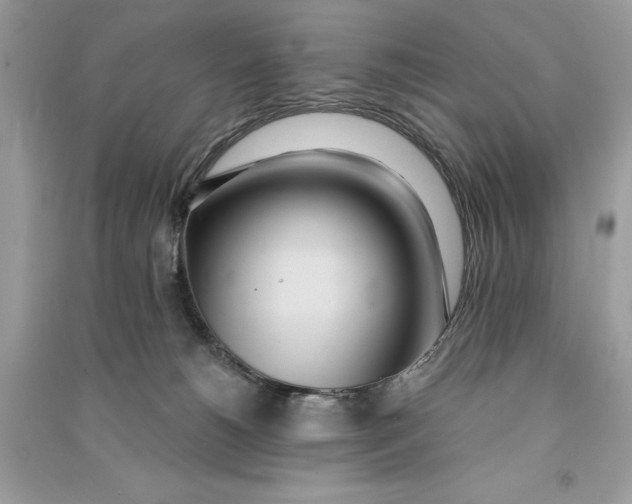 X0000090710180200708101513