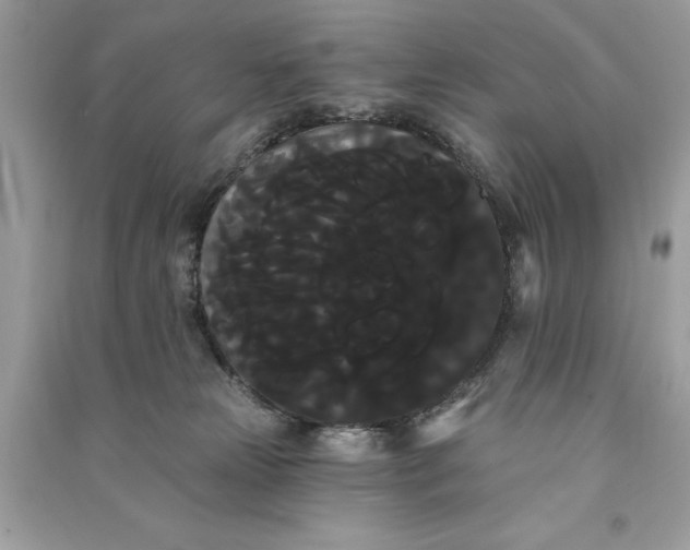 X0000090710181200708101513