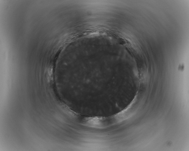 X0000090710182200708101513