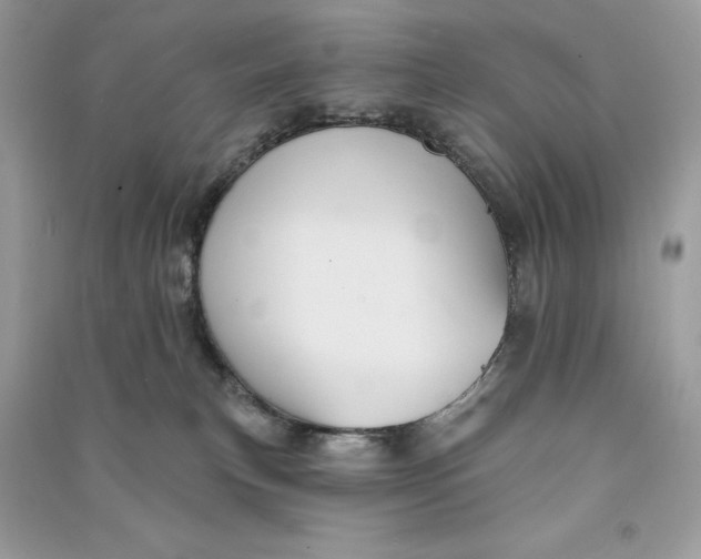 X0000090710183200708101513