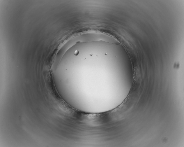 X0000090710184200708101513